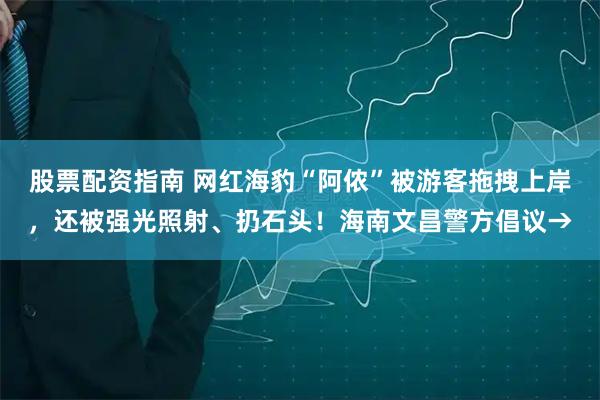 股票配资指南 网红海豹“阿侬”被游客拖拽上岸,还被强光照射、扔石头!海南文昌警方倡议→