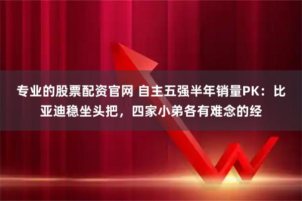 专业的股票配资官网 自主五强半年销量PK：比亚迪稳坐头把，四家小弟各有难念的经