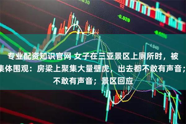 专业配资知识官网 女子在三亚景区上厕所时，被满墙壁虎集体围观：房梁上聚集大量壁虎，出去都不敢有声音；景区回应