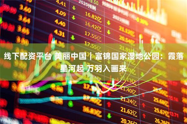 线下配资平台 美丽中国｜富锦国家湿地公园：霞落星河起 万羽入画来